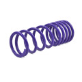 Guaranteed Quality Unique Passivation Shock Absorber Springs